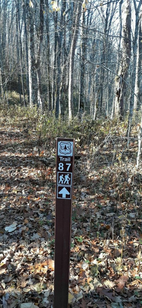 Trail marker for Trail 87, surrounded by bare trees and fallen leaves in a wooded area.