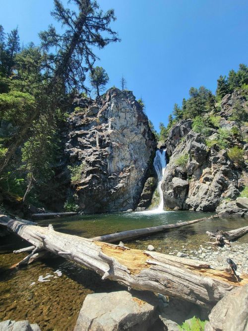 A serene waterfall cascades down rocky cliffs, surrounded by lush trees and a clear blue sky. A fallen log rests in the foreground.