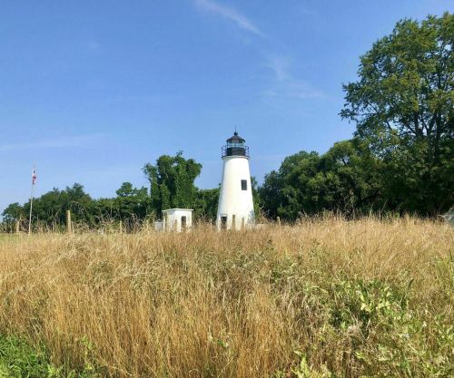 A white lighthouse stands amidst tall grass and trees under a clear blue sky.