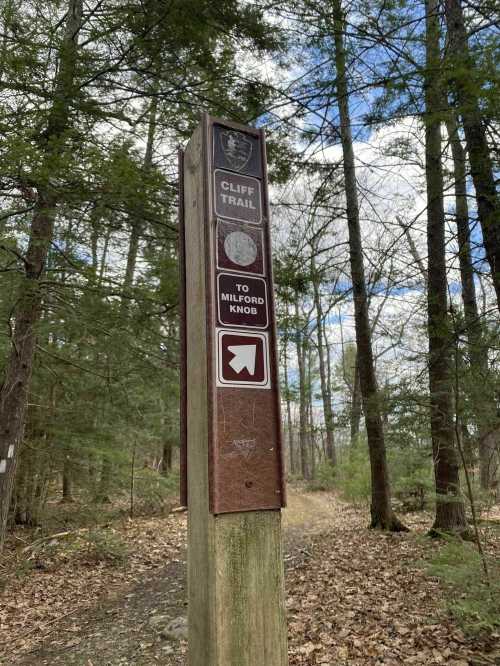 Signpost for Cliff Trail leading to Milford Knob, surrounded by trees and a forested path.