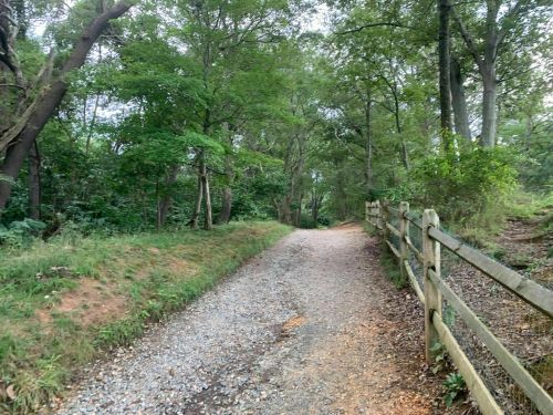 A gravel path winds through a lush green forest, bordered by a wooden fence on one side.