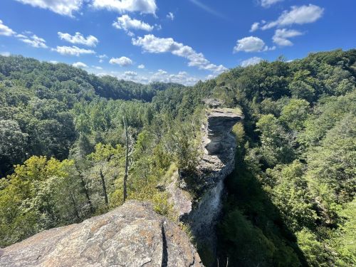 A scenic view of a rocky cliff surrounded by lush green trees under a bright blue sky with fluffy clouds.