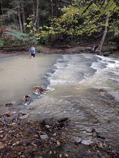 A person wades through a shallow, muddy stream surrounded by trees and autumn foliage.