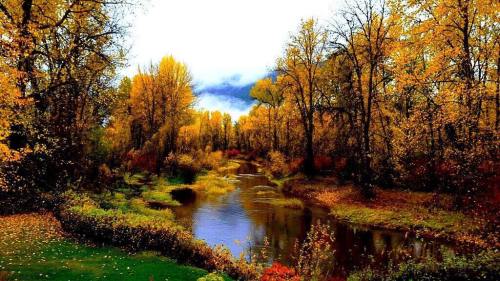 A serene river flows through a vibrant autumn forest, with colorful leaves reflecting in the water.