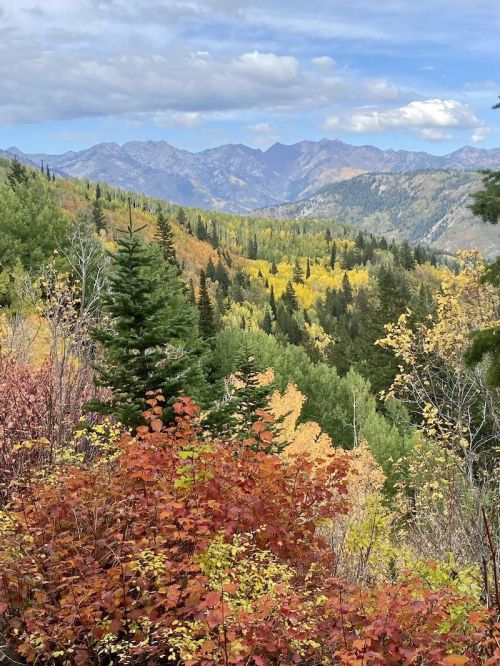 A scenic view of mountains surrounded by vibrant autumn foliage in shades of green, yellow, and red under a blue sky.