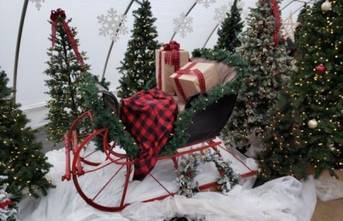 A festive sleigh decorated with garland, surrounded by Christmas trees and wrapped gifts.