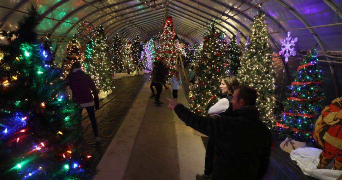 Gull Meadow Farms: A Festive Christmas Farm In Richland, MI
