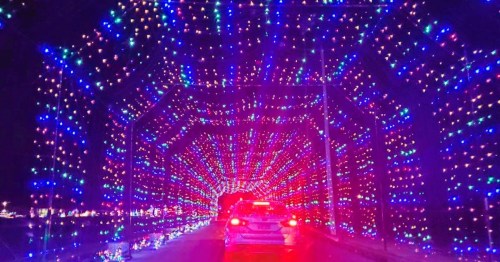 A car drives through a vibrant tunnel of colorful holiday lights in various shades of blue and red.