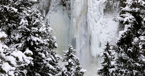 A frozen waterfall surrounded by snow-covered trees in a winter landscape.