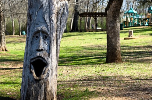 A carved tree trunk with a face, set in a grassy park with playground equipment in the background.