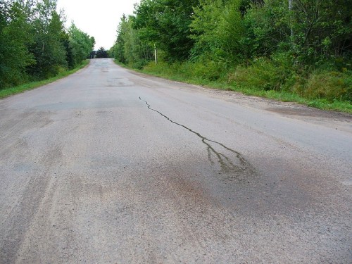 A quiet, tree-lined road with a visible crack in the pavement and greenery on either side.