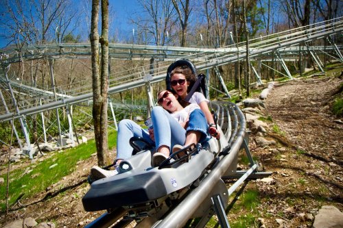 Two people enjoy a thrilling ride on a mountain coaster, surrounded by trees and a clear blue sky.