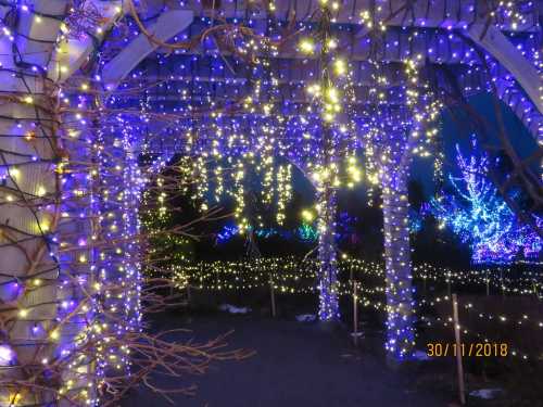 A pathway adorned with vibrant purple and white lights, creating a magical atmosphere among trees and structures.