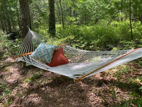 A hammock strung between trees in a forest, featuring a blue and white patterned pillow and a red cushion.