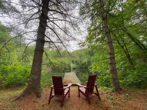 Two red chairs facing a calm pond, surrounded by lush green trees and a serene natural setting.