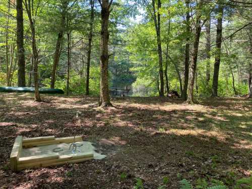 A serene forest scene with a wooden structure in the foreground and a calm pond visible through the trees.