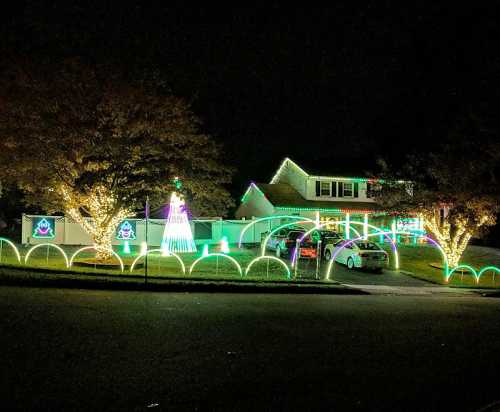 A house decorated with colorful lights for the holidays, featuring illuminated trees and festive displays.