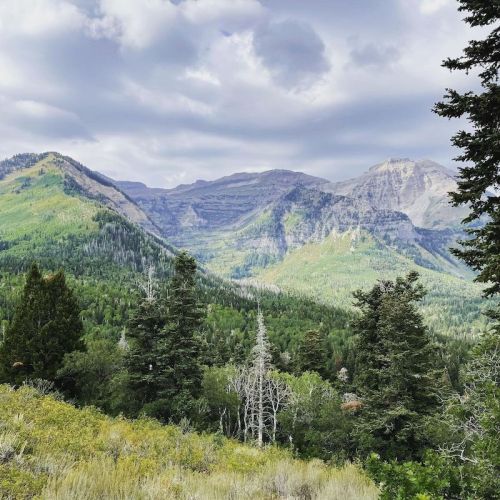 A scenic view of mountains covered in green trees under a cloudy sky.