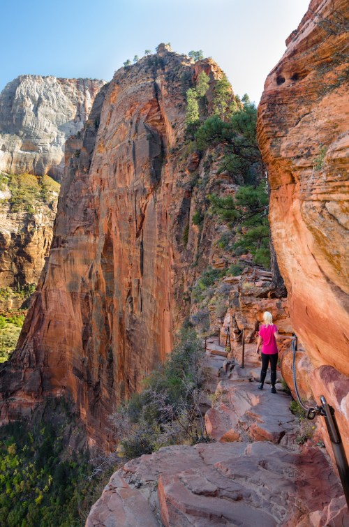 A person in a pink jacket stands on a narrow trail beside towering red rock cliffs in a scenic canyon.