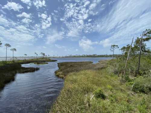 A serene landscape featuring a winding river, lush greenery, and a blue sky with scattered clouds.