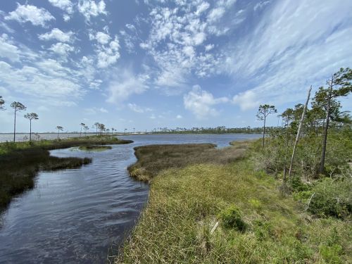 A serene landscape featuring a winding river, lush greenery, and a blue sky with scattered clouds.