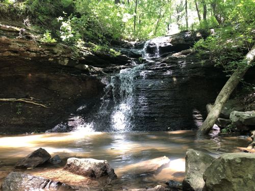 A serene waterfall cascades over rocky terrain into a calm pool, surrounded by lush green trees and sunlight.