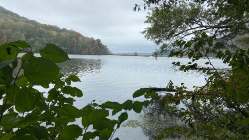 A serene lake surrounded by trees and foliage, with a cloudy sky reflecting on the water's surface.