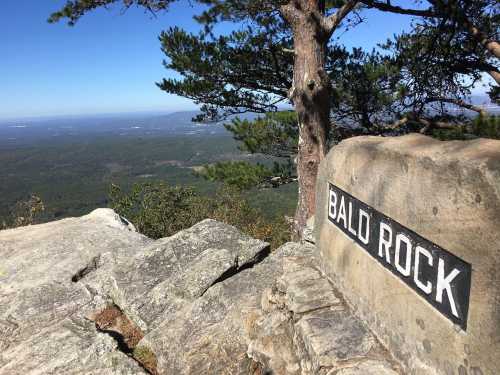 A rocky outcrop labeled "Bald Rock" overlooks a vast green landscape under a clear blue sky.