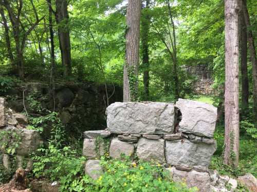 Ruins of a stone wall surrounded by lush green trees and vegetation in a forested area.