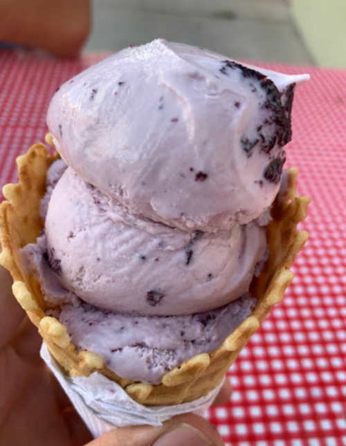 A hand holding a waffle cone filled with two scoops of purple ice cream with chocolate chunks.