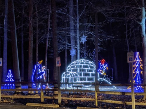 Colorful holiday lights depicting penguins and an igloo in a dark forest setting.