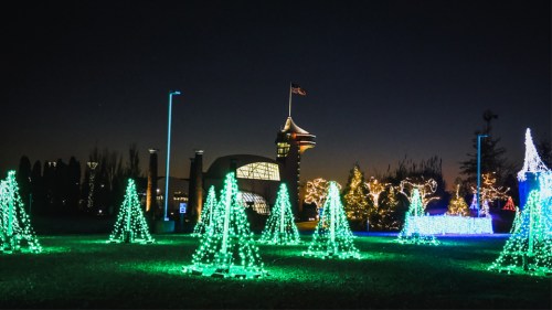 A park illuminated with green and white Christmas lights, featuring decorated trees against a night sky.