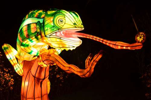 A colorful illuminated chameleon with a long tongue, perched on a tree branch against a dark background.
