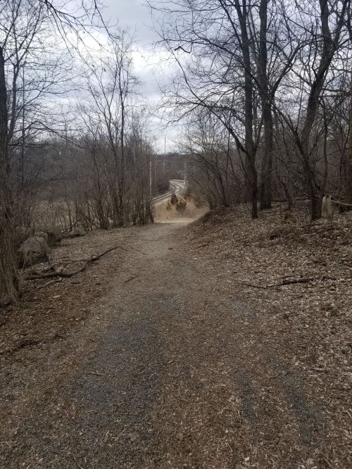 A gravel path winding through bare trees, leading towards a distant road under a cloudy sky.