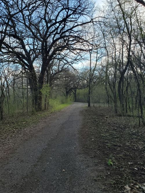 A winding gravel path through a wooded area with bare trees and budding greenery on either side.