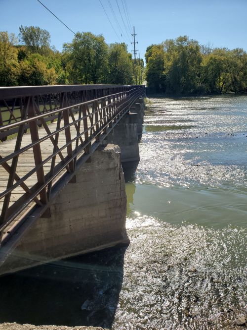 A bridge over a shimmering river, surrounded by trees and clear blue skies on a sunny day.