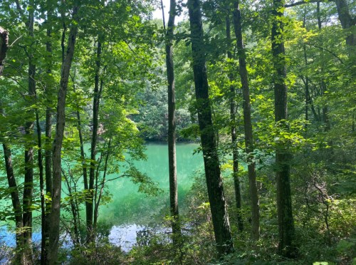 Lush green trees surround a tranquil, turquoise lake in a serene forest setting.