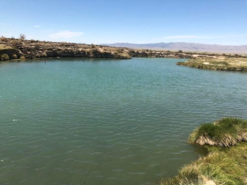 A serene river scene with clear turquoise water, grassy banks, and distant mountains under a blue sky.