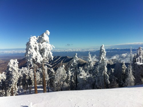 Snow-covered trees and mountains under a clear blue sky, with ski lift cables in the foreground.
