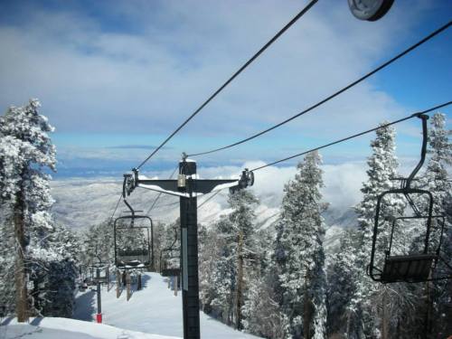 A snowy mountain landscape with ski lift chairs and tall pine trees under a blue sky.
