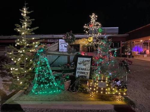 A festive display with decorated Christmas trees and lights at the Starfeli Family Farm, illuminated at night.