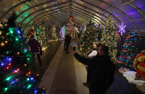A festive indoor space filled with decorated Christmas trees and colorful lights, with people walking through.