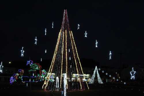 A brightly lit Christmas tree surrounded by festive lights and decorations against a dark night sky.