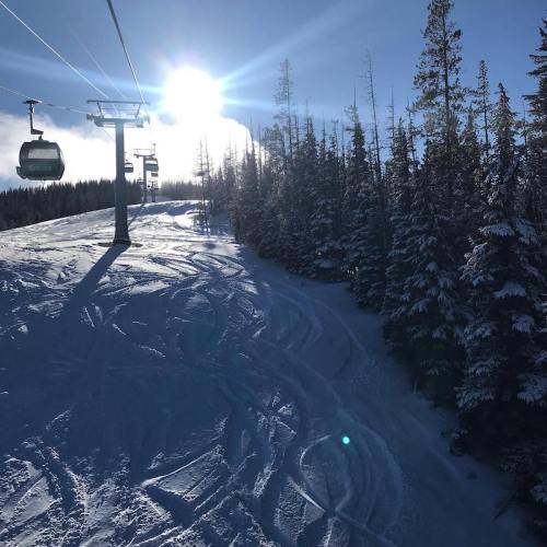 A ski lift ascends a snowy slope surrounded by tall trees under a bright sun.