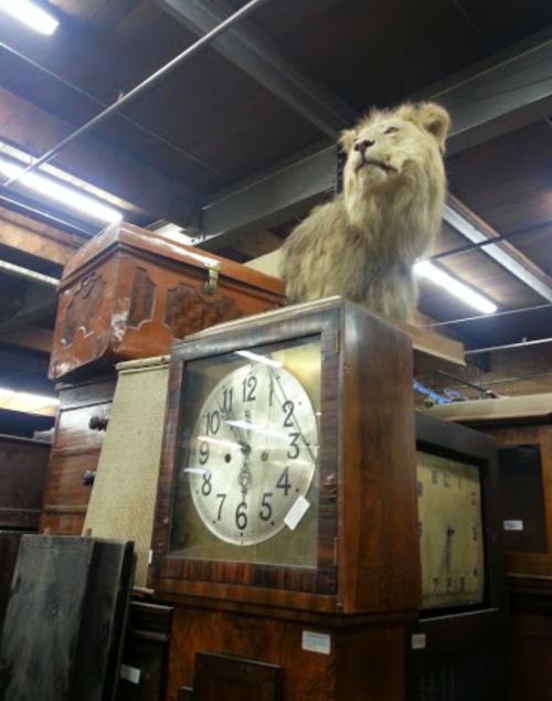 A mounted lion head atop a large antique clock, surrounded by vintage furniture in a dimly lit space.