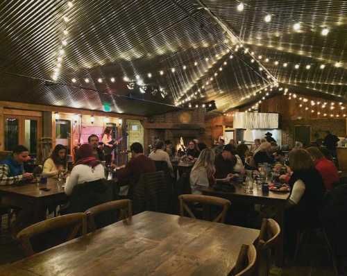 A lively restaurant interior with string lights, filled with diners enjoying a meal and a performance in the background.