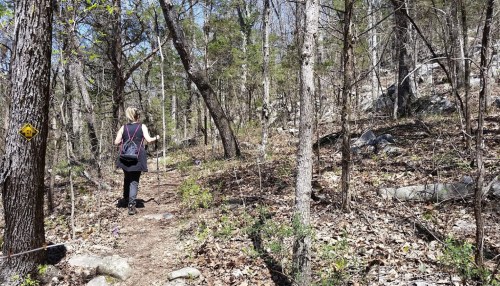 A person hiking on a narrow trail through a wooded area with trees and rocks.