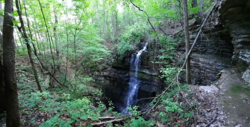 A serene forest scene featuring a waterfall cascading into a rocky pool, surrounded by lush greenery and trees.