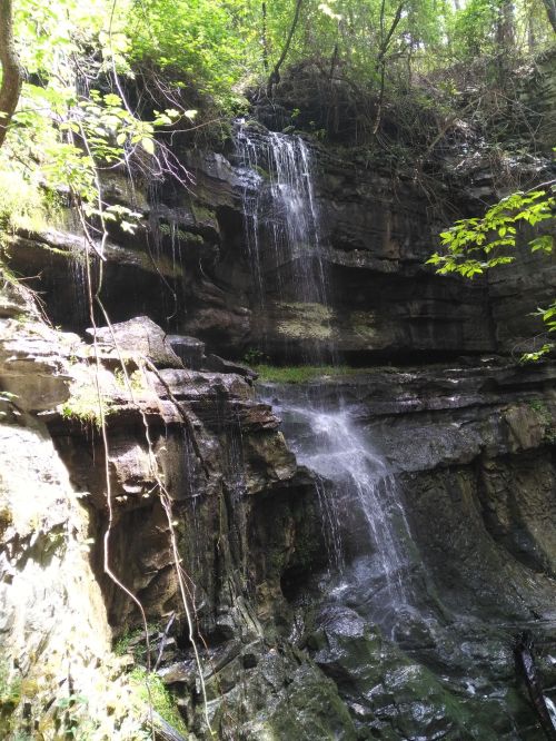 A serene waterfall cascading down rocky cliffs, surrounded by lush green foliage and sunlight filtering through the trees.