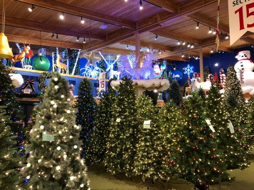 A festive display of Christmas trees adorned with lights, surrounded by holiday decorations in a store.